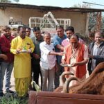 “હિન્દ રક્ષક સંઘ” દ્વારા ૩૧મી ડિસેમ્બર નાં રોજ ‘ગૌ સેવા પર્વ’ ની ઉજવણી